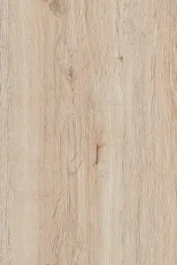 VEPO DUB TOSKÁNSKÝ