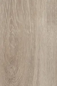 FATRACLICK DUB LATTE 5010-5