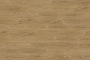 XL DUB MEDOVÝ LEPENÁ 0,4 9947