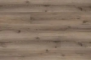 BELLISSIMO DUB ROVIO LEPENÁ 0,5 6011