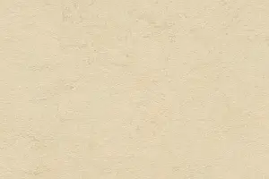 FORBO MARMOLEUM HOME H36