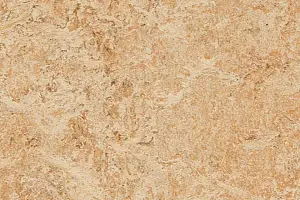 FORBO MARMOLEUM HOME H46