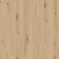 ID 55-14.2 DELICATE OAK ALMOND