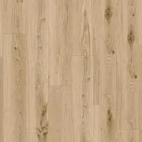 ID 55-14.1 DELICATE OAK BARLEY